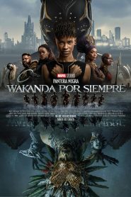 Pantera Negra: Wakanda por siempre